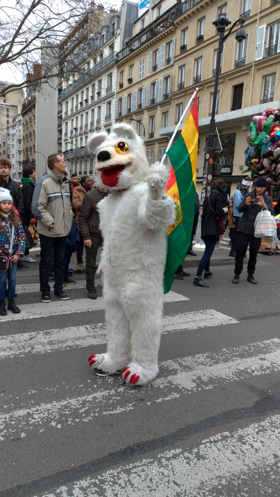 mascota